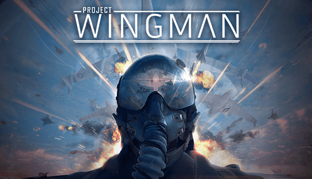 Обложка Project Wingman